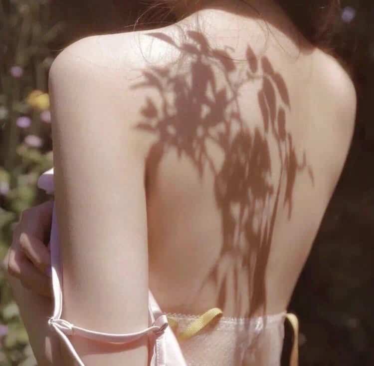 仙侠传：缥缈仙踪